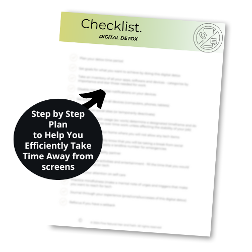 mock up of step by step digital detox checklist